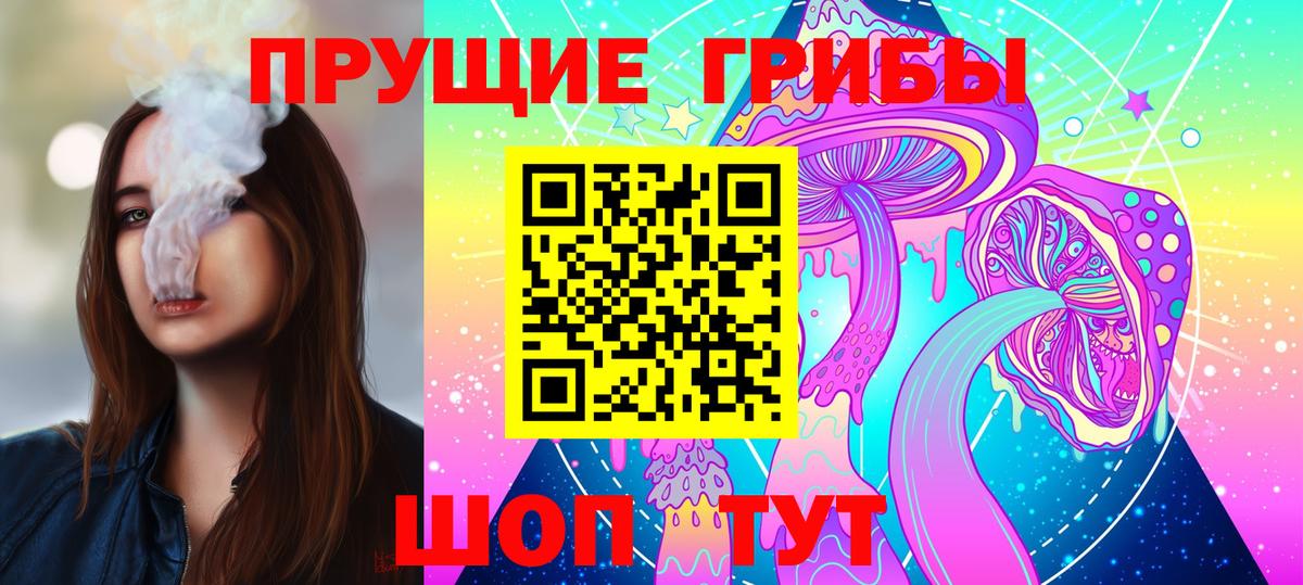 Псилоцибиновые грибы Psilocybe  Вход с VPN  Кулебаки 